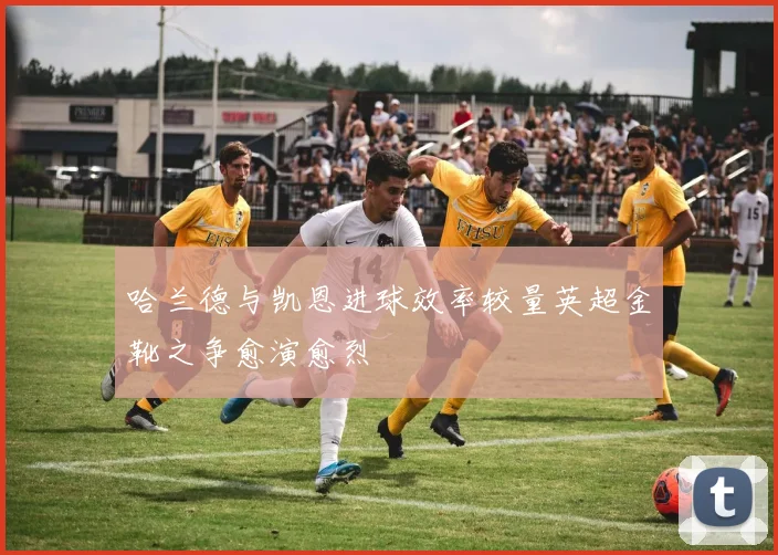 哈兰德与凯恩进球效率较量英超金靴之争愈演愈烈