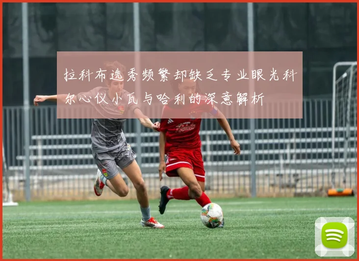 拉科布选秀频繁却缺乏专业眼光科尔心仪小瓦与哈利的深意解析